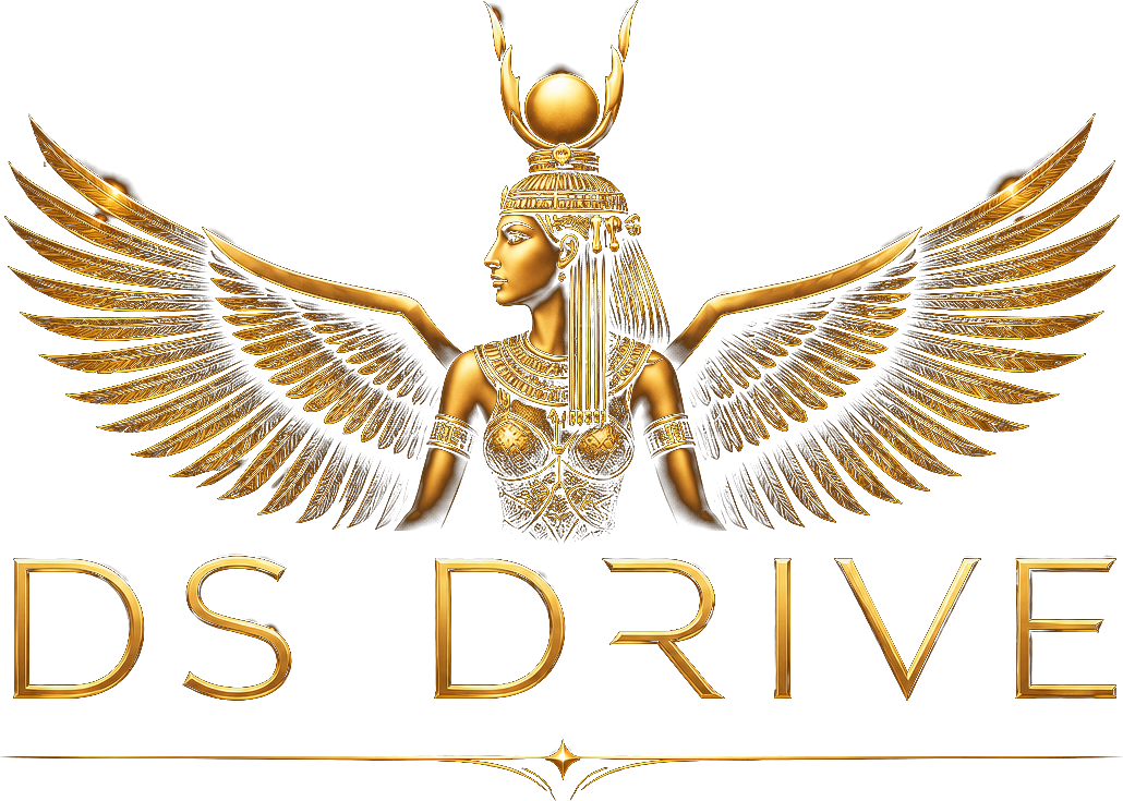 DS Drive